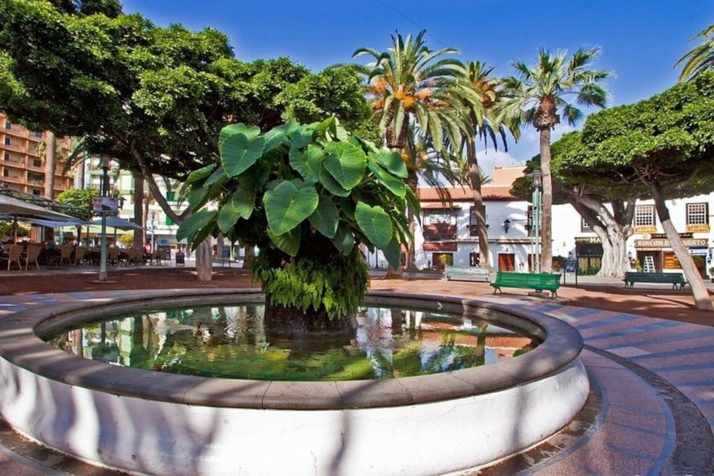 Centrico, Comodo Y Bello Apto En Puerto De La Cruz Zewnętrze zdjęcie